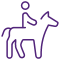 horse icon