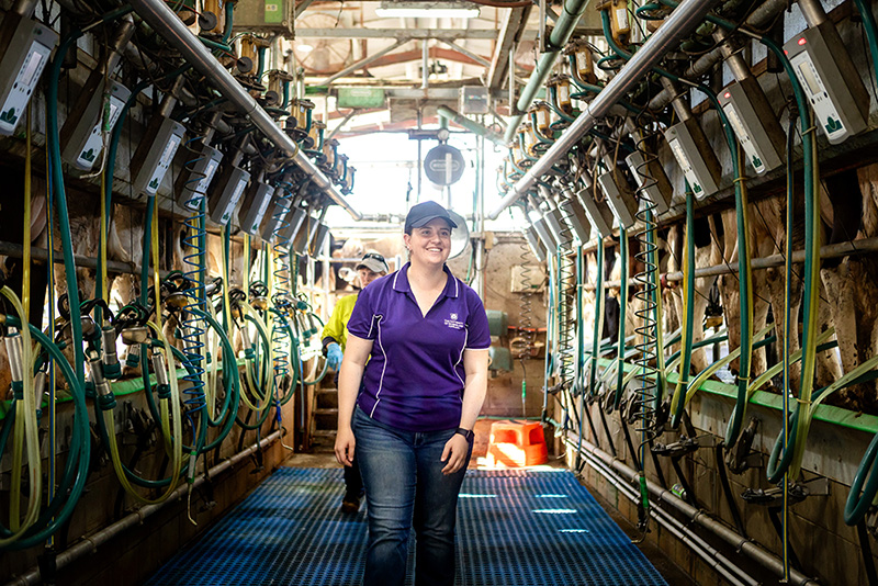 researchers in dairy facility
